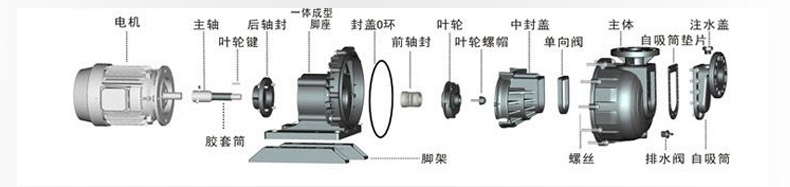 耐酸碱塑料自吸泵结构分解图