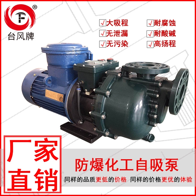 防爆化工小型自吸泵