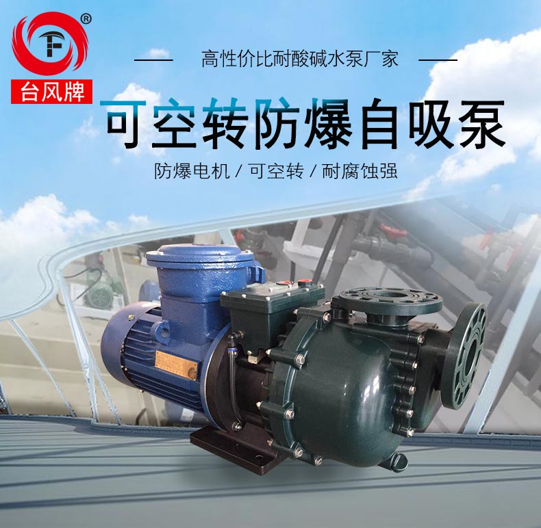 一款可空转的防爆自吸泵