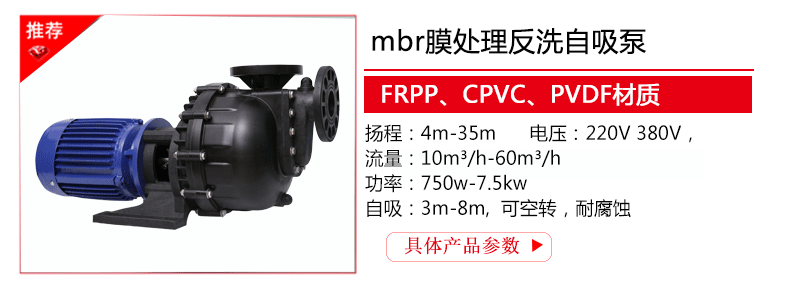 mbr膜处理反洗自吸泵型号 参数