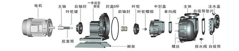 塑料防腐自吸泵的分解及零配件名称
