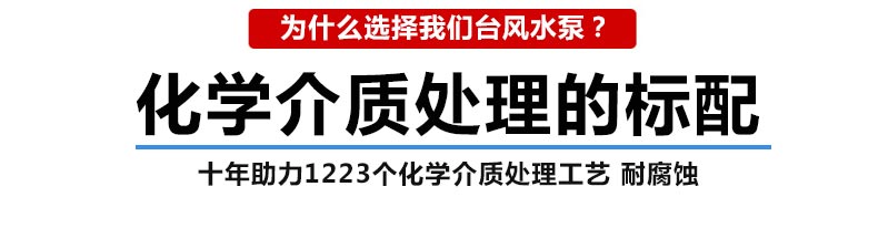 化学介质处理泵选台风不锈钢泵