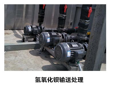 耐碱泵用于氢氧化泵输送处理