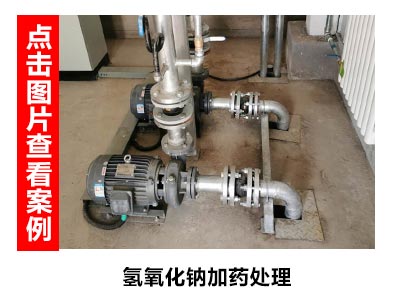 氢氧化钠输送泵用于加药处理