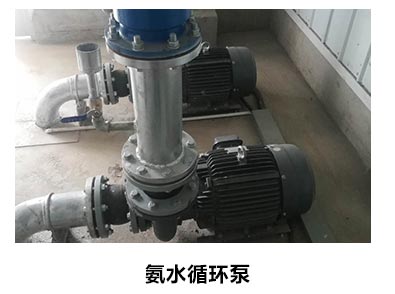 不锈钢泵用于氨水循环