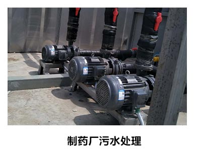 不锈钢泵用于氢氧化泵输送处理