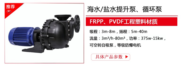 盐水提升泵型号参数