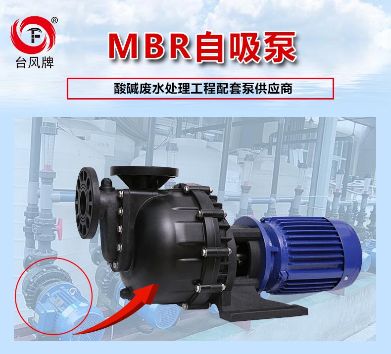 mbr自吸泵,mbr抽吸泵,mbr反洗泵产品主图