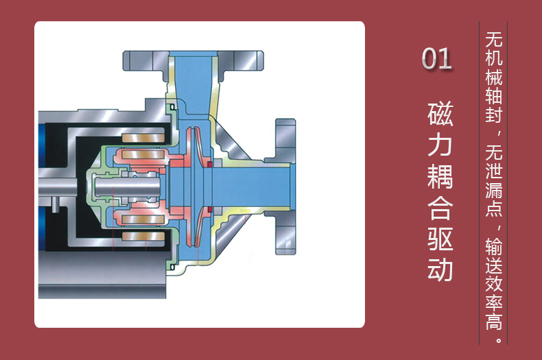 无轴封设计的结构图